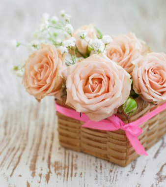 açık pembe güller