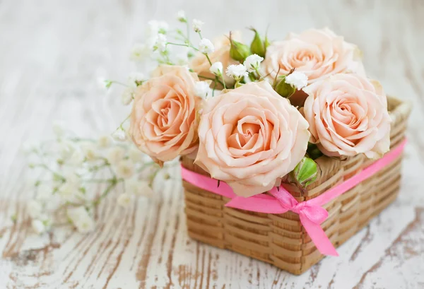 Light Pink roses — Stock Photo, Image