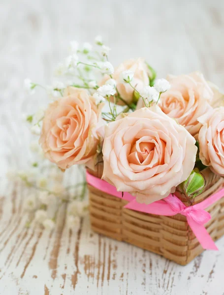 Light Pink roses — Stock Photo, Image