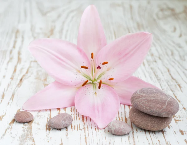 Lilly and massage stones — Stock Photo, Image