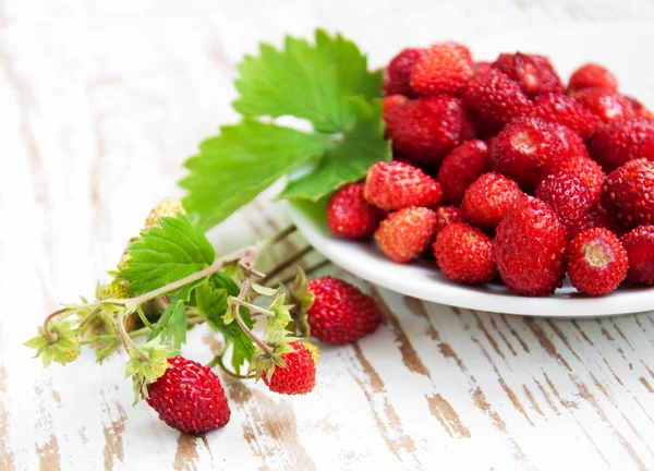 Fraise sauvage dans une assiette — Photo