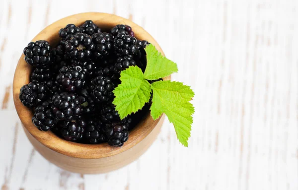 Bowl of Blackberries — Stock Photo, Image