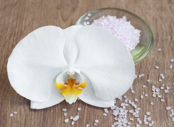 Orchids and salt — Stock Photo, Image