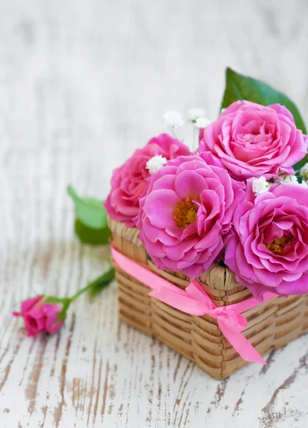 Pink roses — Stock Photo, Image