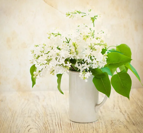 Bouquet d'un lilas blanc — Photo