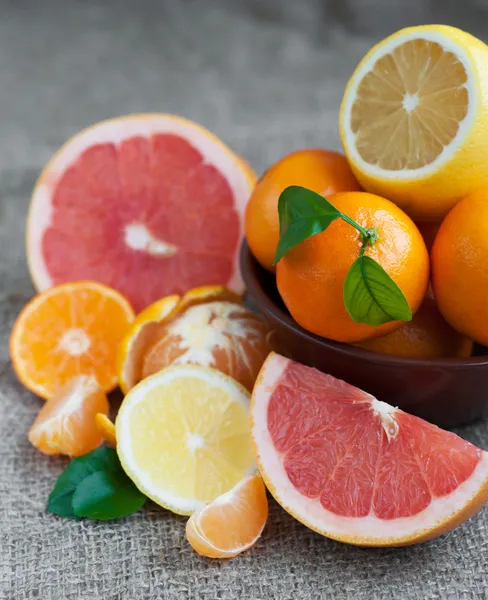 Citrusfrukter — Stockfoto