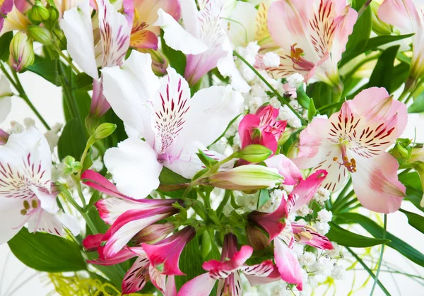 Bouquet de fleurs d'alstroemeria — Photo
