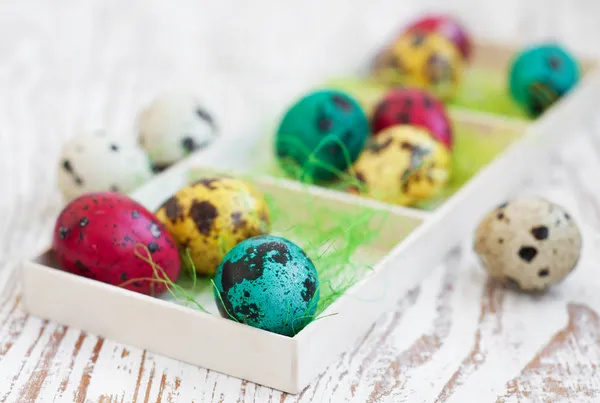 Quail eggs — Stock Photo, Image