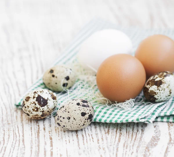 Eggs — Stock Photo, Image