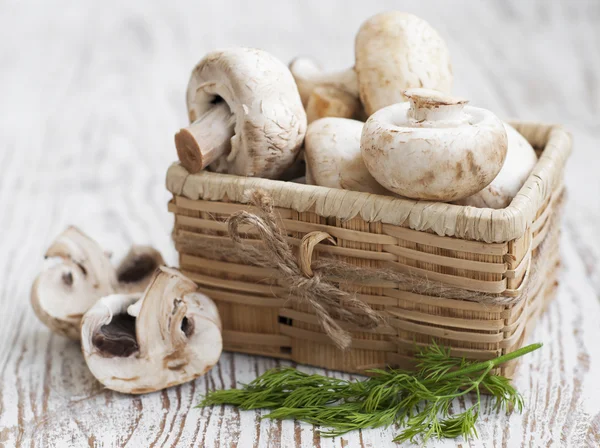 Mushrooms — Stock Photo, Image