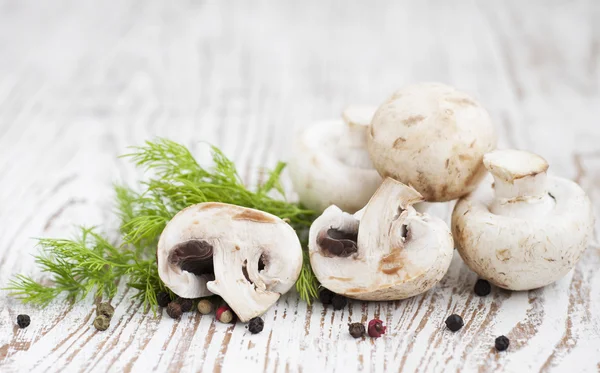 Mushrooms — Stock Photo, Image