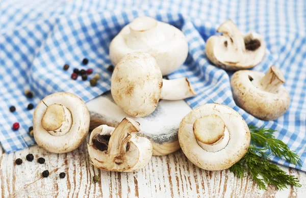 Mushrooms — Stock Photo, Image