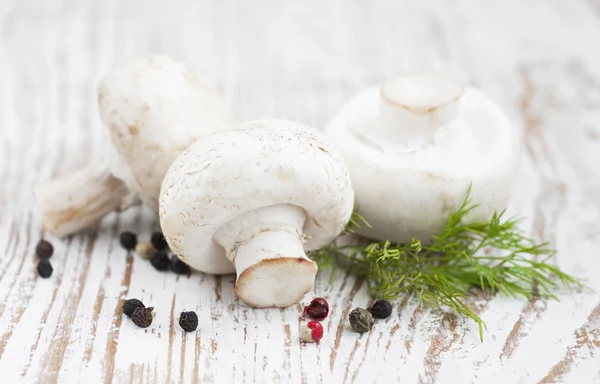 Mushrooms — Stock Photo, Image