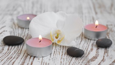 spa ile beyaz orkide ayarla