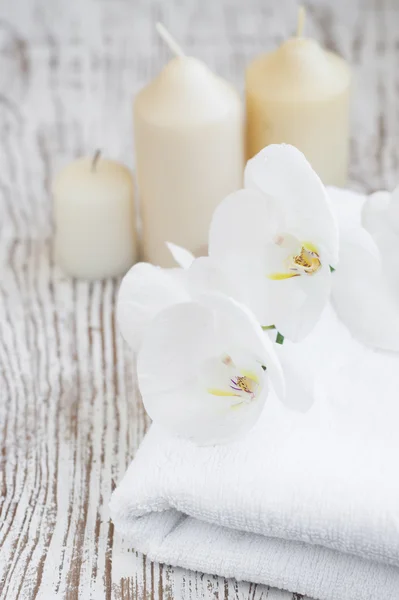 Orchideeën spa — Stockfoto