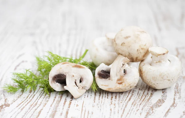 Mushrooms — Stock Photo, Image