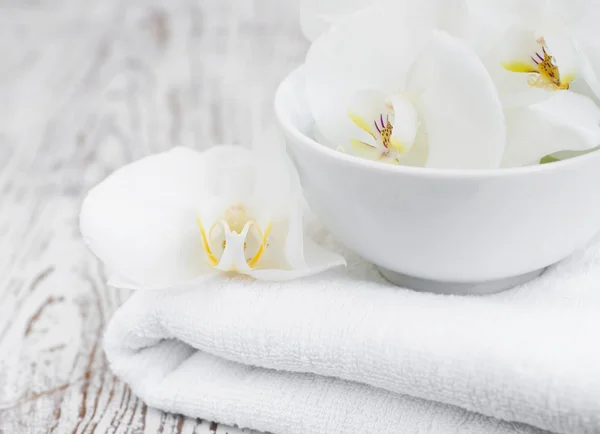 Orchids spa — Stock Photo, Image