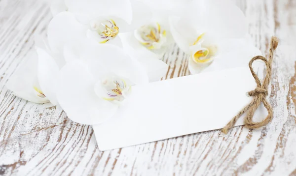 Orquídeas y tarjeta en blanco —  Fotos de Stock