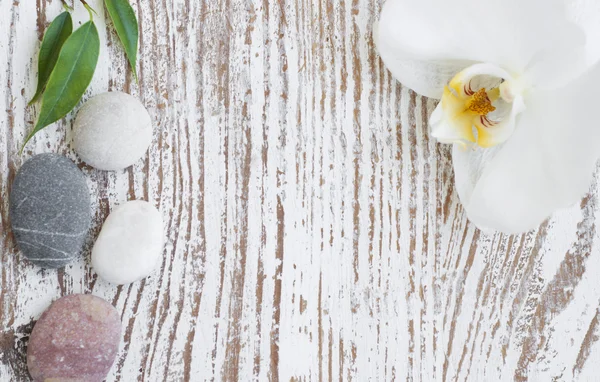 roztomilé dítě vyšetřit lékařem ženského