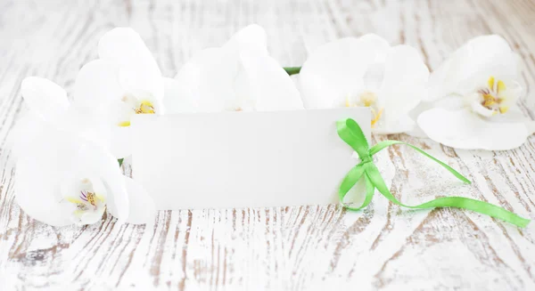 Orchids and blank card — Stock Photo, Image