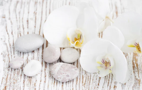 Orchids spa — Stock Photo, Image