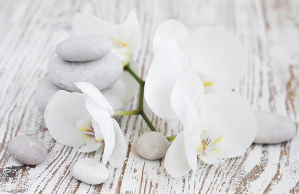 Orchids spa — Stock Photo, Image