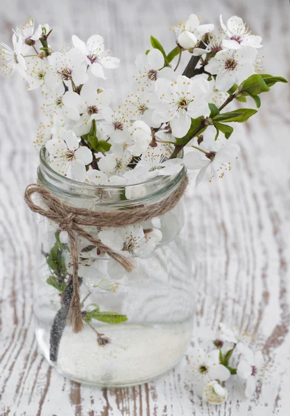 Flor de cerezo — Foto de Stock