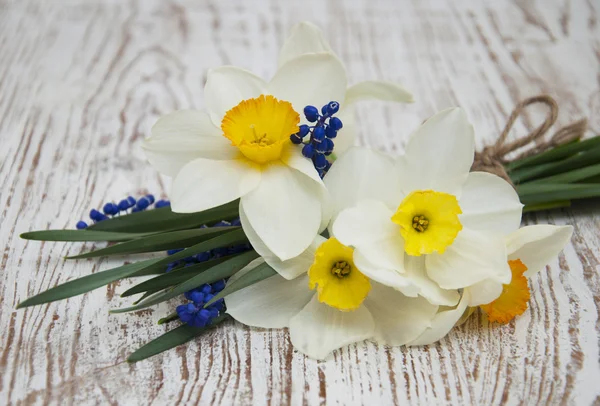 Spring flowers — Stock Photo, Image