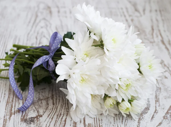 Crisantemo blanco — Foto de Stock