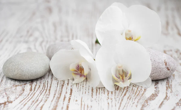 Orchideeën spa — Stockfoto