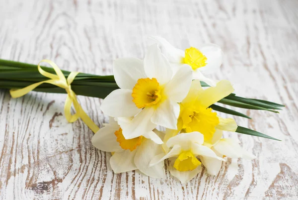 Daffodils — Stock Photo, Image