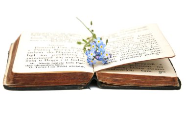 eski kitap