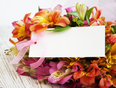 alstroemeria çiçek