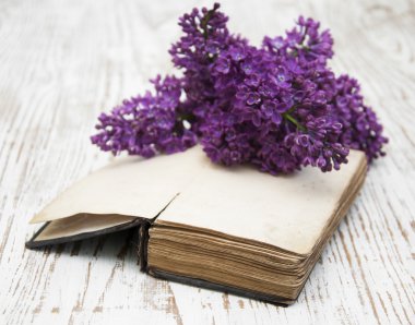 eski kitap ve leylak dalı