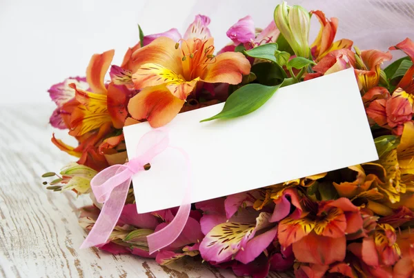 Alstroemeria Flower — Stock Photo, Image