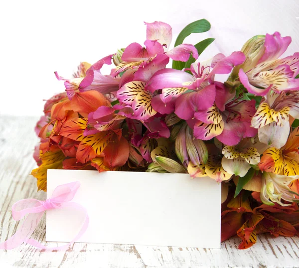 Alstroemeria bloemen — Stockfoto