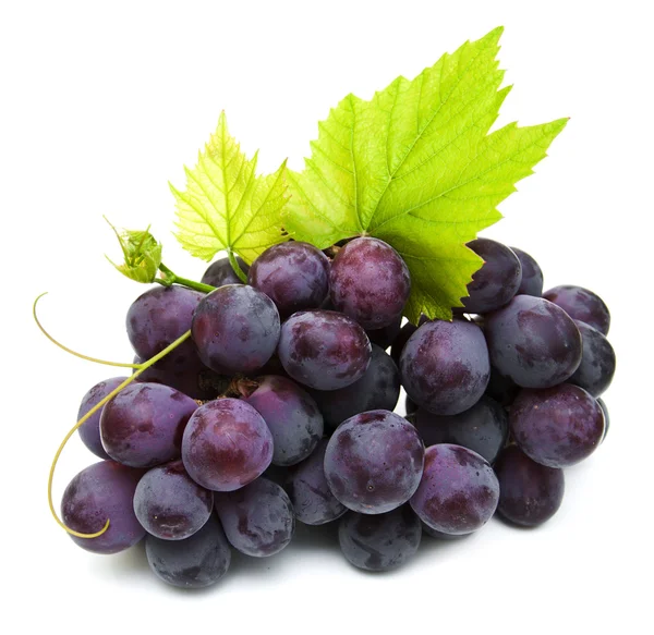 Свіжого винограду — стокове фото