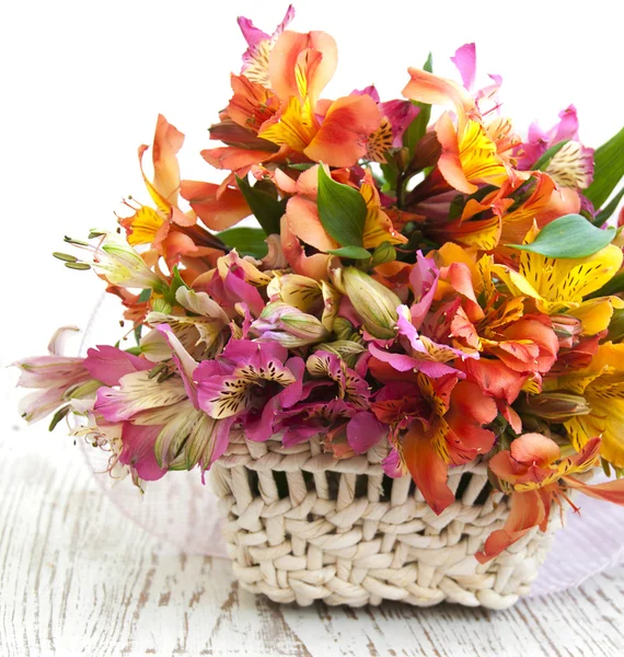 Bouquet of flowers — Stock Photo, Image