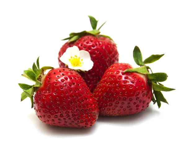 Fresh strawberry — Stock Photo, Image