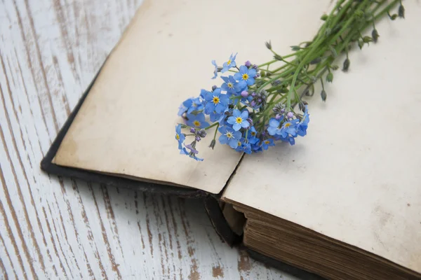 Forget-me-nots flowers and old book — Stock Photo, Image