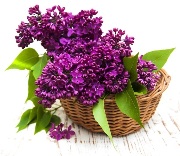 Summer lilac flowers in basket — Stock Photo, Image