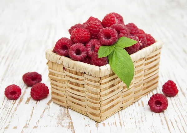 Raspberry — Stock Photo, Image