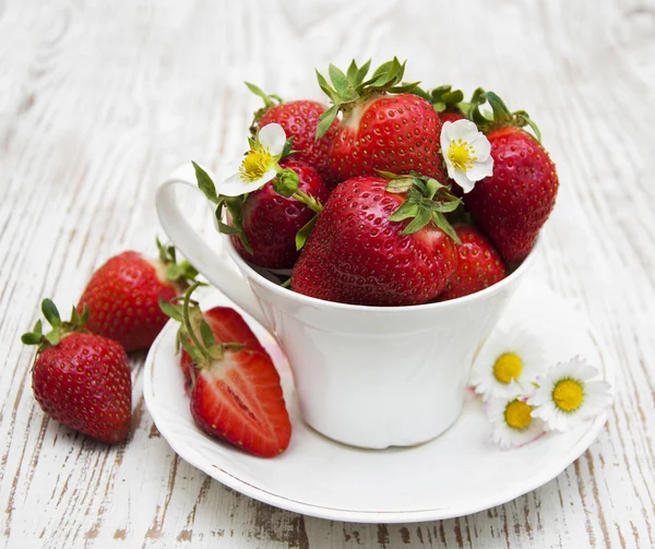 Fragole fresche — Foto Stock