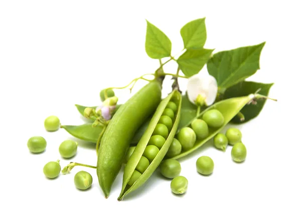 Fresh Garden Peas — Stock Photo, Image