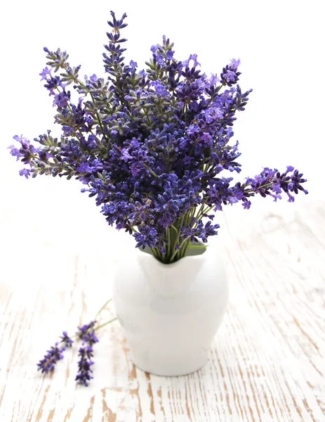 Lavendel blommor i en vit vas — Stockfoto
