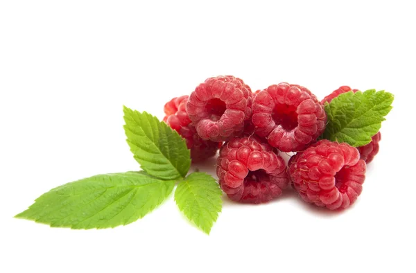 Raspberry — Stock Photo, Image