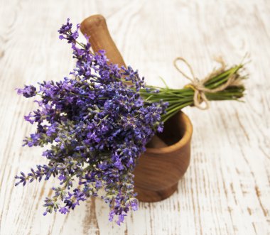 harç ve havaneli Eflatun