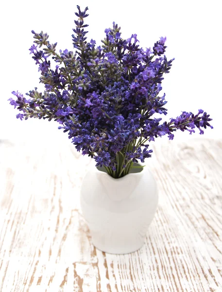 Lavendel — Stockfoto