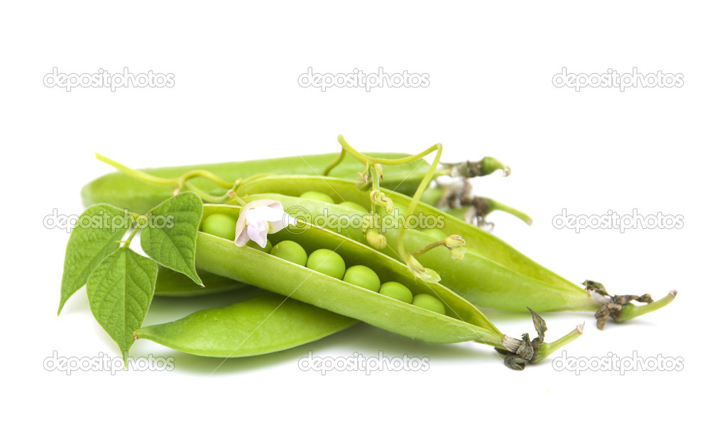 fresh garden peas on a white background — 图库照片#50107667
