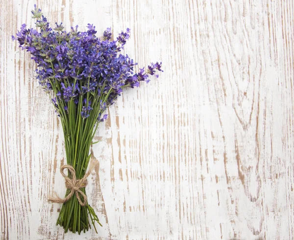 Lavendel — Stockfoto